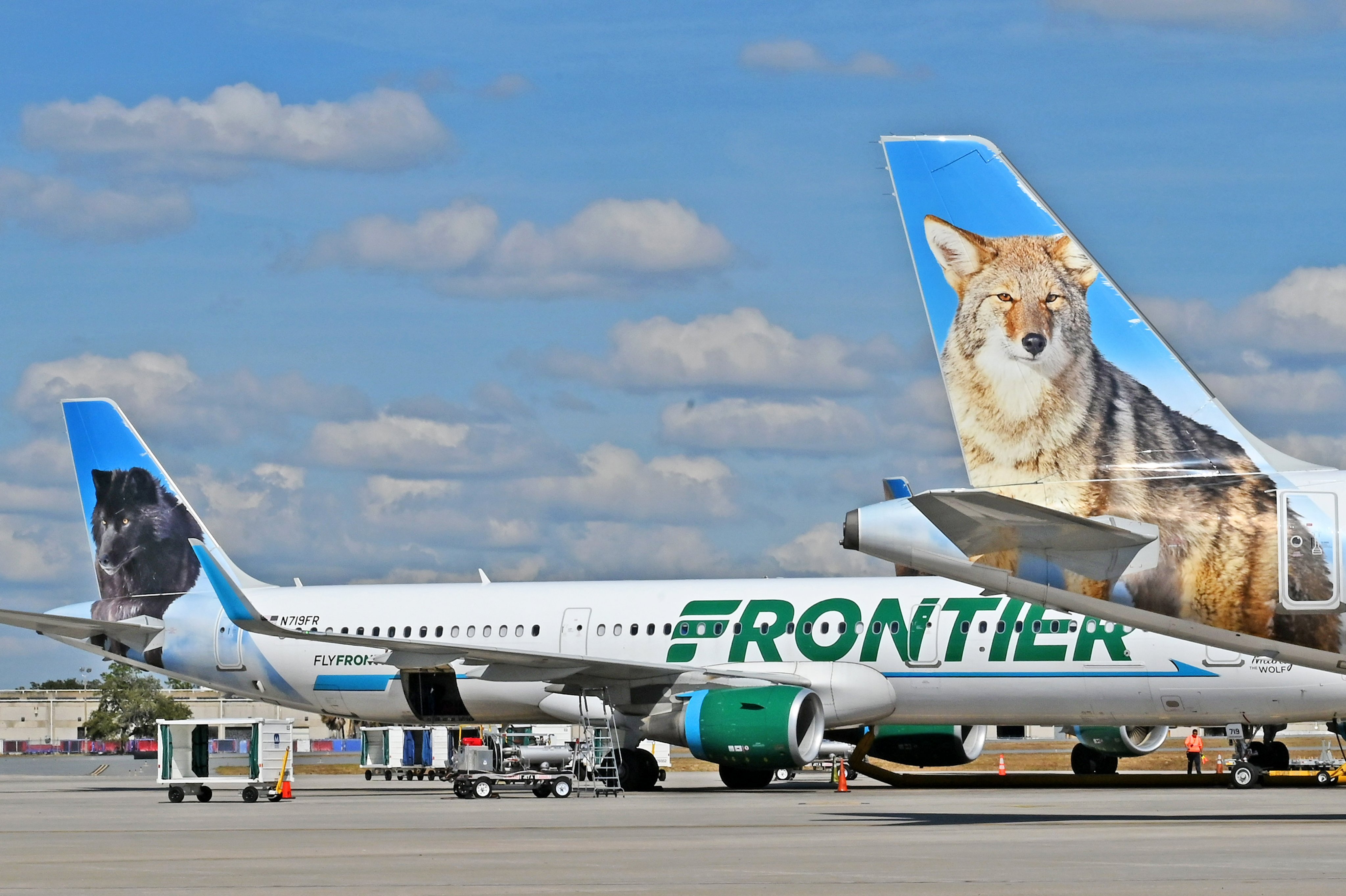 Frontier Airlines  offers  100  Grandparents  a free  flight  under it's  ‘Grandparents Fly Free’  Deal ! 