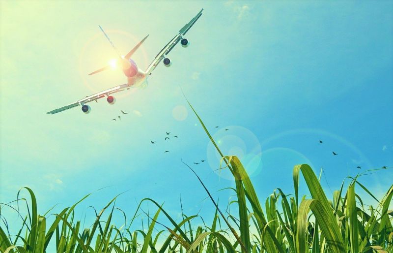 UK Government bats for Zero Aviation emissions, launches dedicated fund for Sustainable Aviation Fuel (SAF) production.