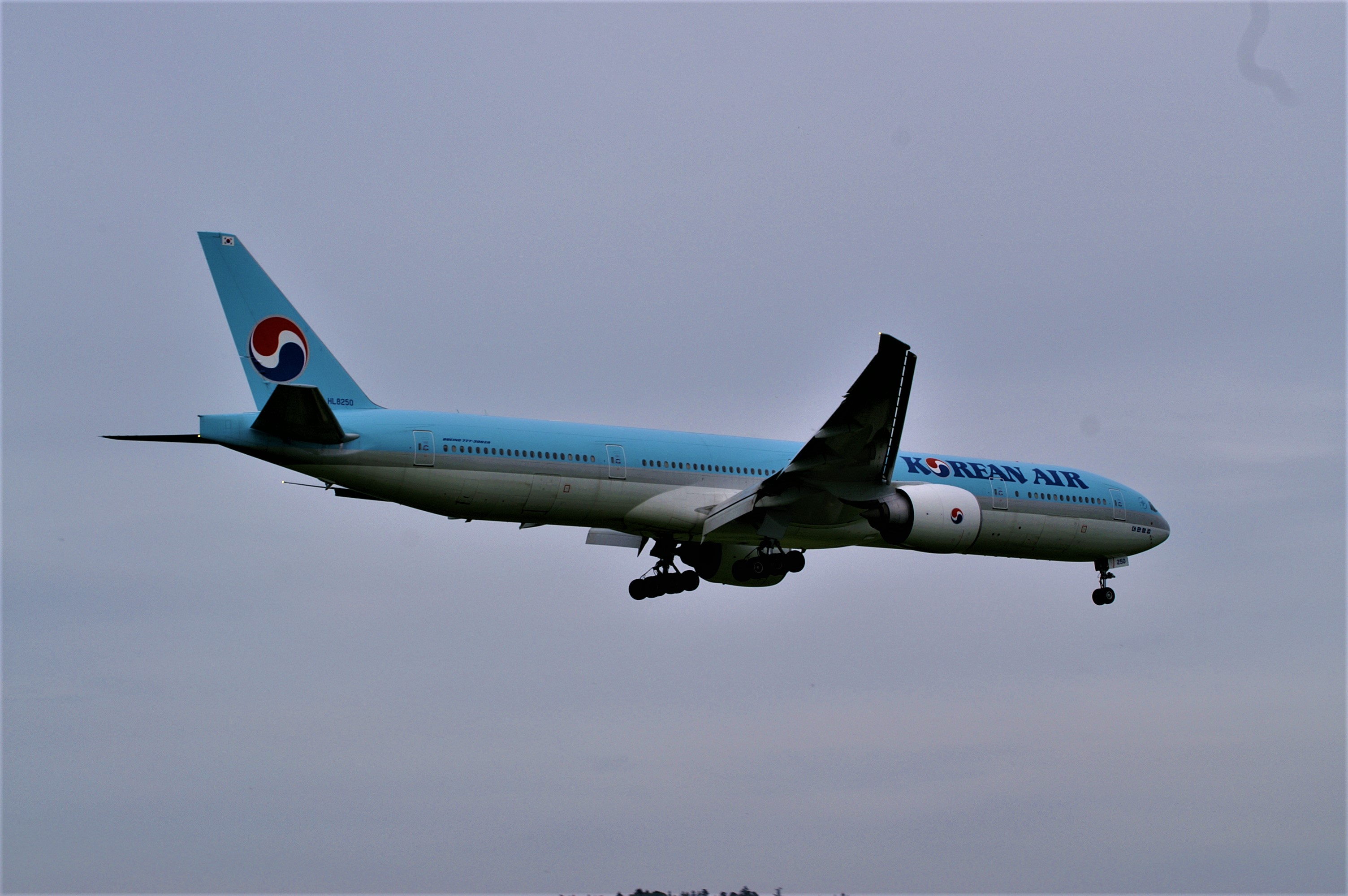 Korean Air  will  Weigh  its  Passengers  before  Boarding , those Volunteer For the Exercise.