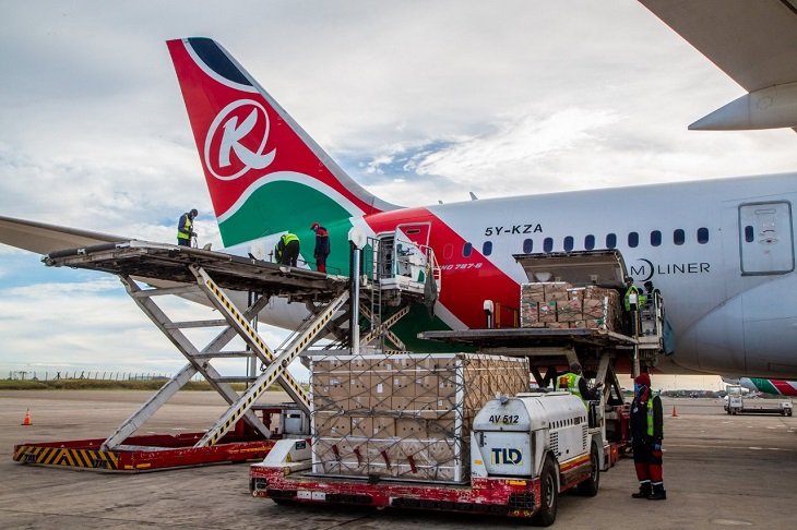 Kenyan Govt Could Lose Majority Shares In Kenya Airways , Sell Of 49% Stake To An Equity Investor Being Explored.