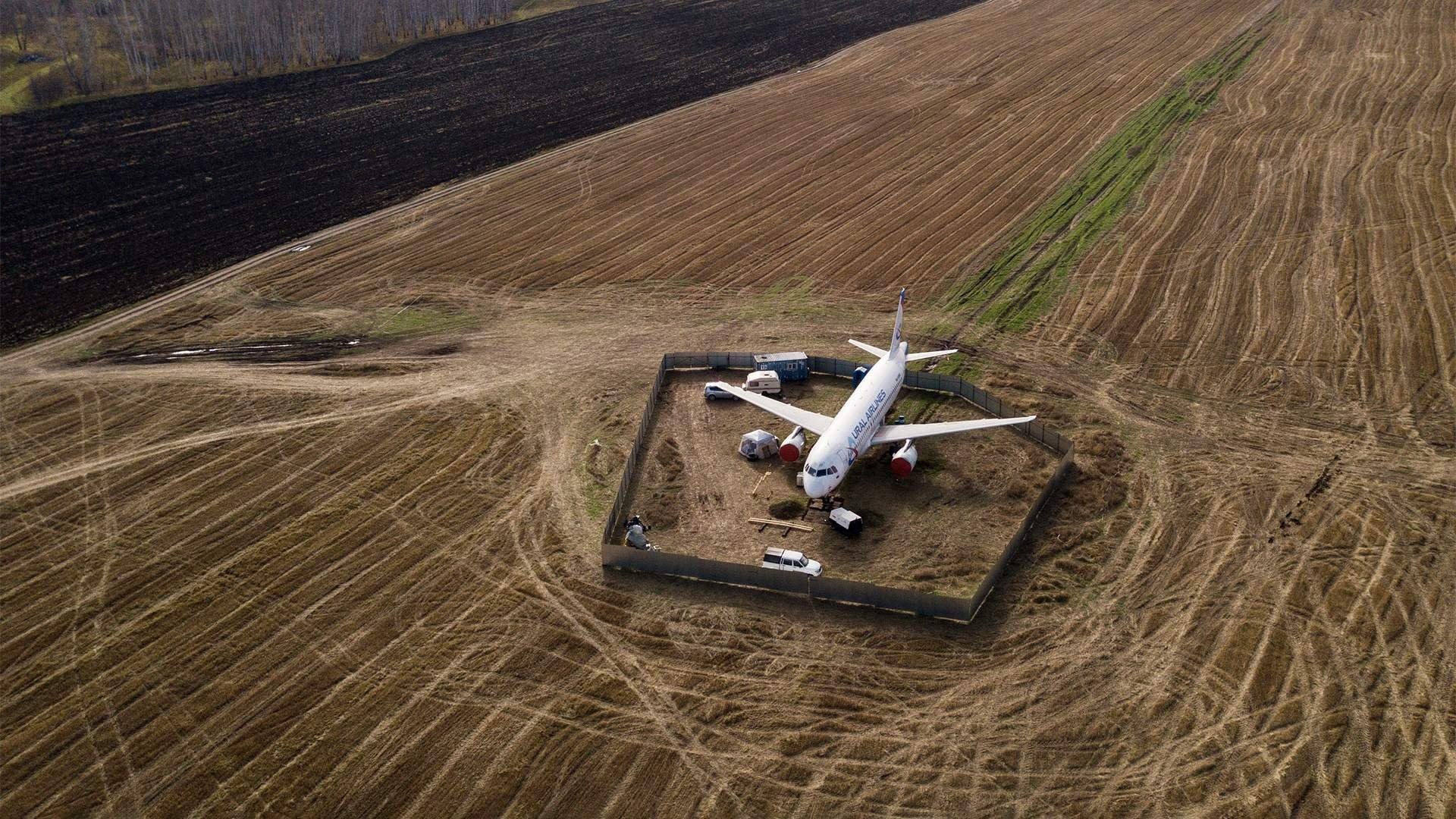 Unlike 2019 Cornfield Heroic Act , Russian Rosaviatsiya Wants Dismissal Of Two Top Managers Of Ural Airlines Owing To 2023  Wheat Field Landing Serious Incident.