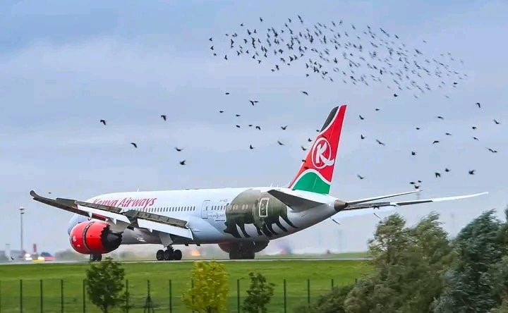 Nigeria Civil Aviation Authority to sanction Kenya Airways for repeatedly violating consumer protection rules.