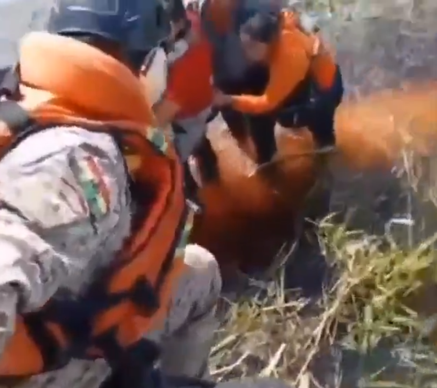 Five occupants rescued almost two days after their aircraft crashed into alligator-infested swamp Amazonian jungle.