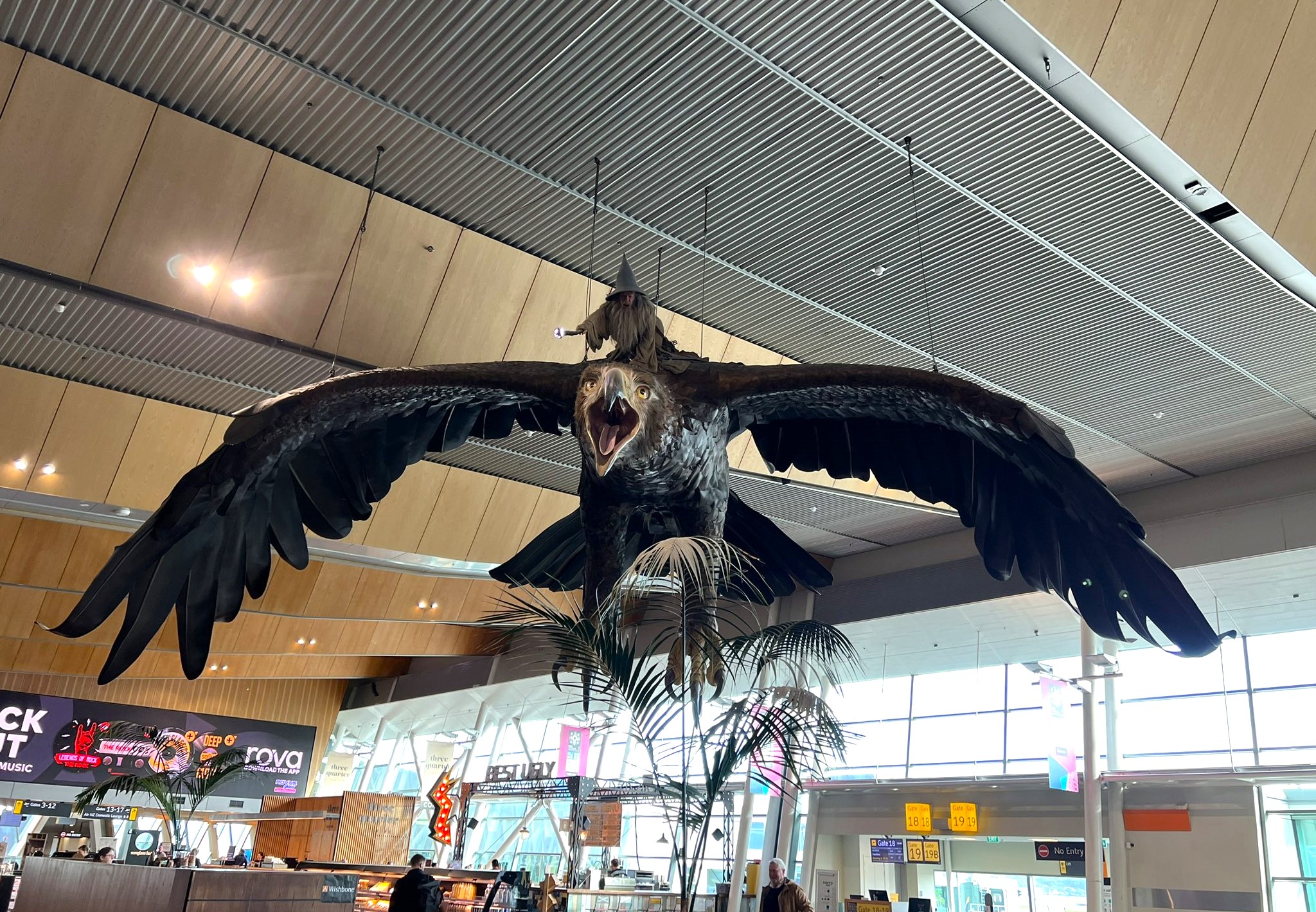 China accuses New Zealand of 